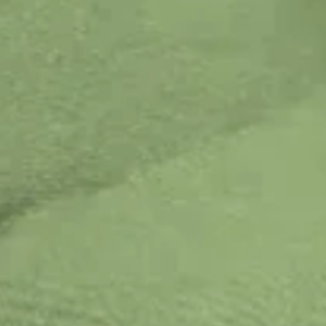 La Jolla Top - Matcha Gloss